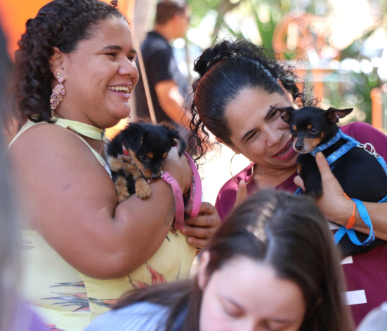 Cãopanheiro: um domingo de harmonia e diversão para a família inteira