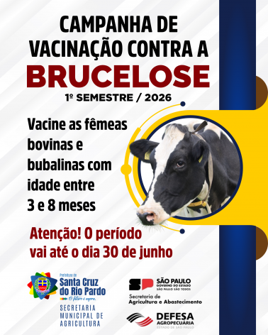 VACINAÇÃO CONTRA BRUCELOSE VAI ATÉ 30 DE JUNHO DE 2026