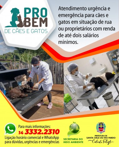 [MEIO AMBIENTE] PROJETO PRO BEM – ANIMAIS EM SITUAÇÃO VUNERÁVEL