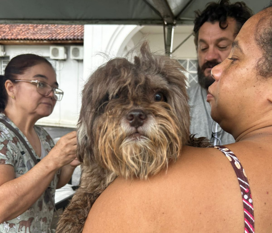 Dia de Vacinação Antirrábica atende cães e gatos na Praça São Sebastião